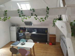charmant loft aménagé